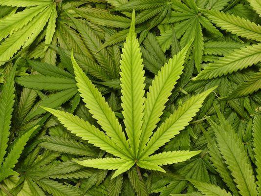 Are we losing a whole generation to weed?