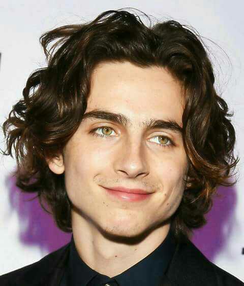 What do you think of Timothée Chalamet? Yay or nay??