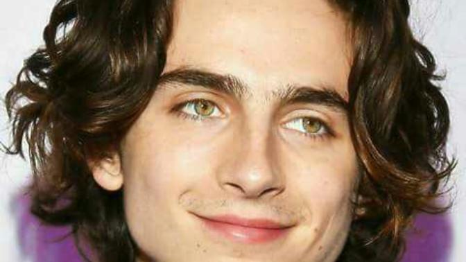 What do you think of Timothée Chalamet? Yay or nay?