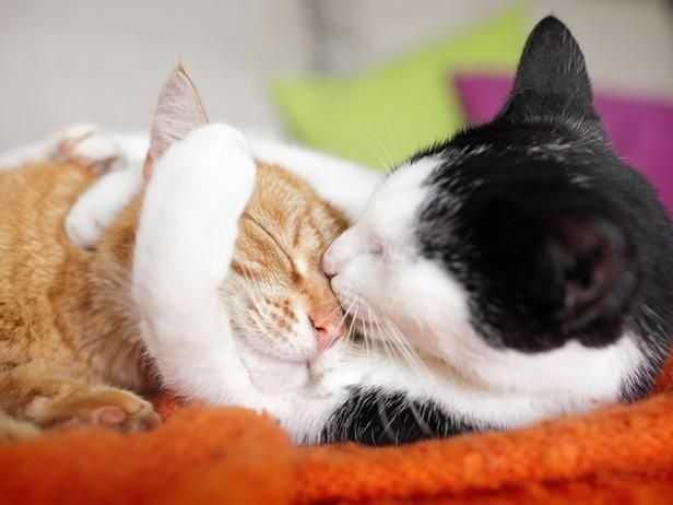 what do u think about overly affectionate partners??