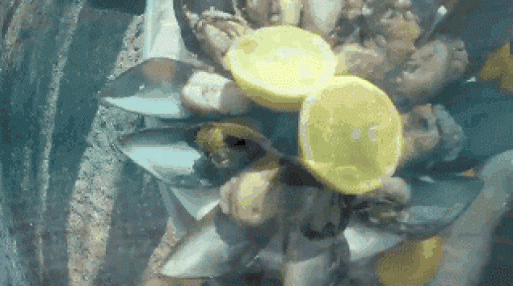 Is there anything you would never want to eat?