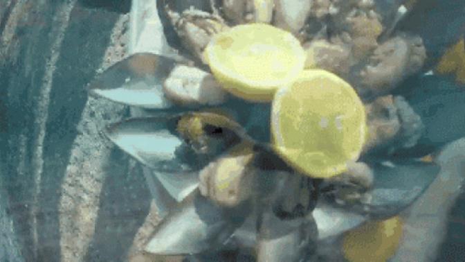 Is there anything you would never want to eat?