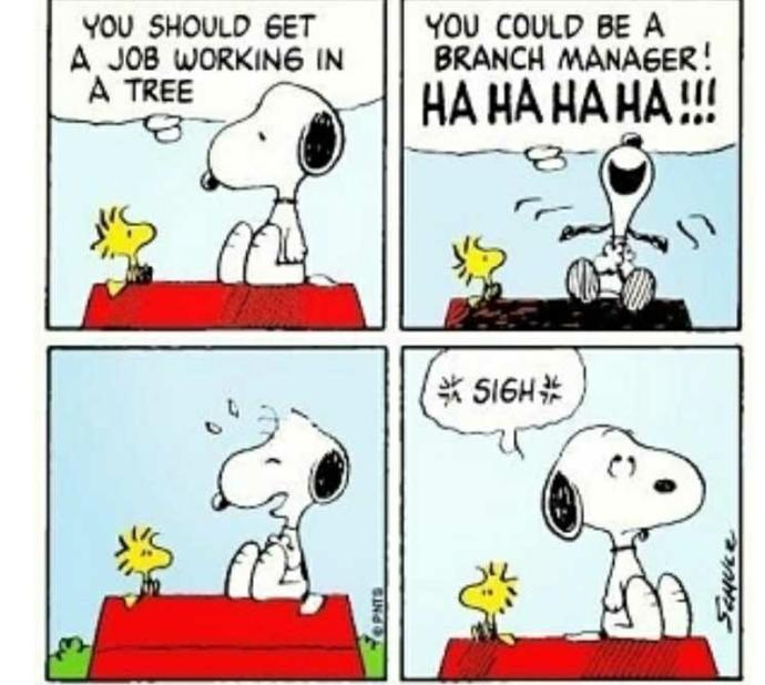 Does laughing at your own jokes, make you seem stupid??