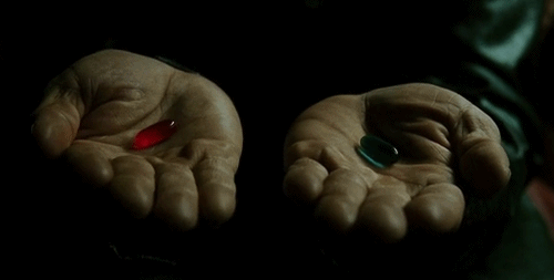 Taking the Blue pill or the Red pill - What's your choice?