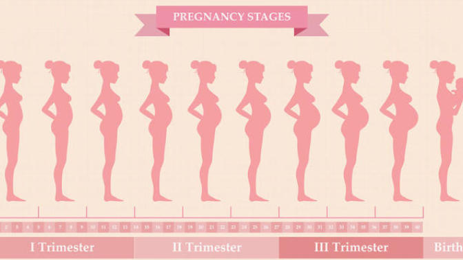In order to avoid an abortion, how do I keep my pregnancy secret for 20 weeks?