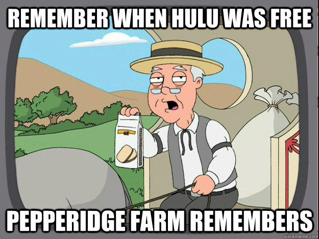 Do you remember when hulu was free?