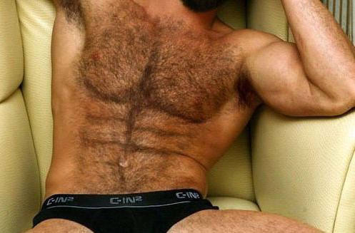 Girls, if a guy has a nice body, but his chest and torso were very hairy, would you still find him sexy?