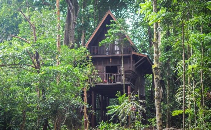 Jungle vs Swamp? which would you say is more uncomfortable to live in?