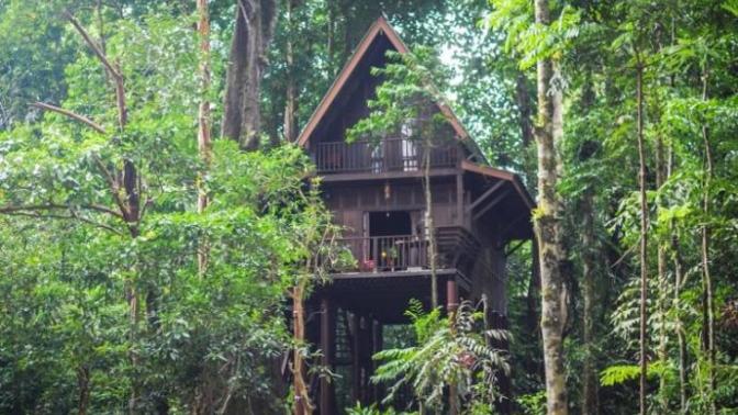 Jungle vs Swamp? which would you say is more uncomfortable to live in?