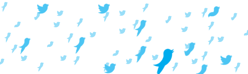 #Poll Which of your social media followers (along with their likes/opinions) are most important to you? Why or Why Not?