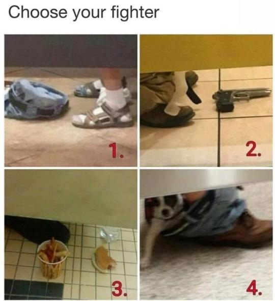 Choose your fighter?