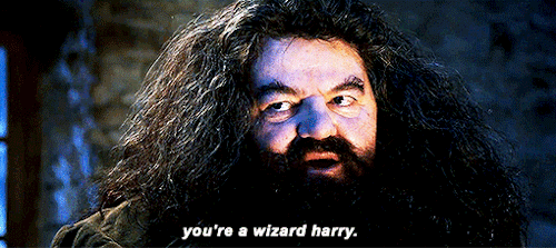 How would you react if you were in Harry Potters shoes when Hagrid told you that you're a Wizard?