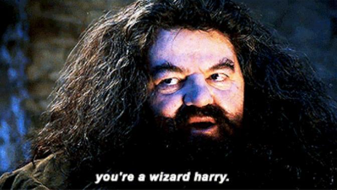 How would you react if you were in Harry Potters shoes when Hagrid told you that you're a Wizard?