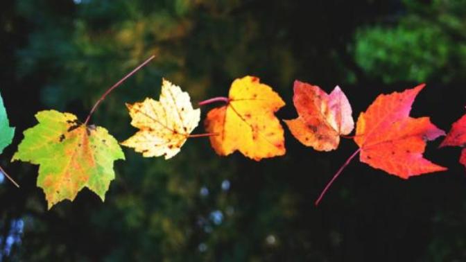 How do you feel about change?