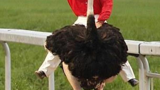 How much weight do I have to lose to ride on an emu?