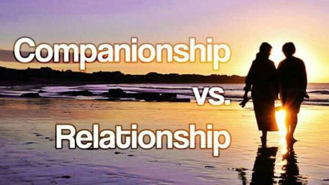 Companionship and Relationship: What Is Your Preference?
