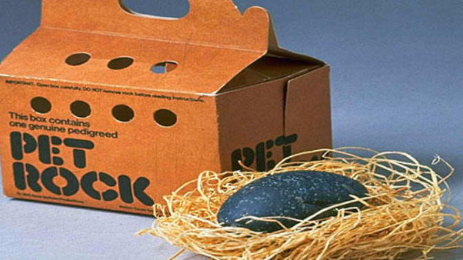What would be a good name for a Pet Rock?