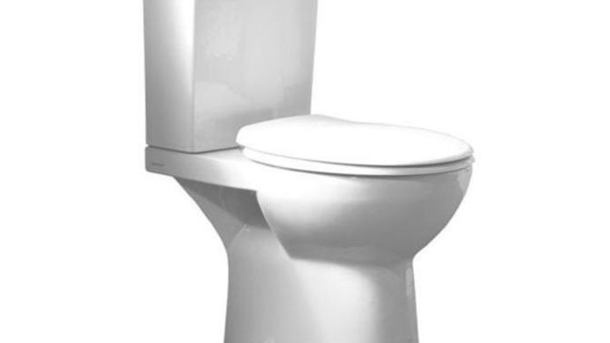 What would you do if your girlfriend pooped in the toilet and forgot to flush?