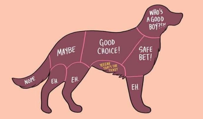 Does your pet has a favorite petting spot??