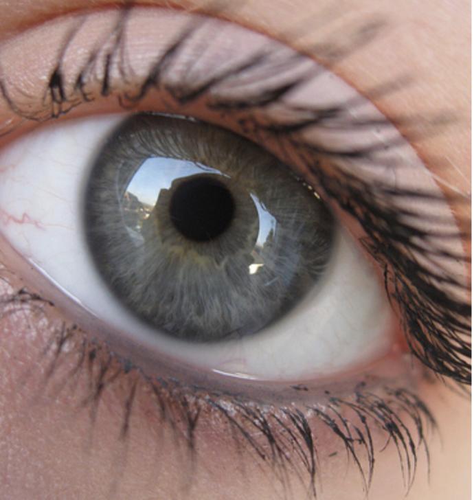 What is the color of your eyes?