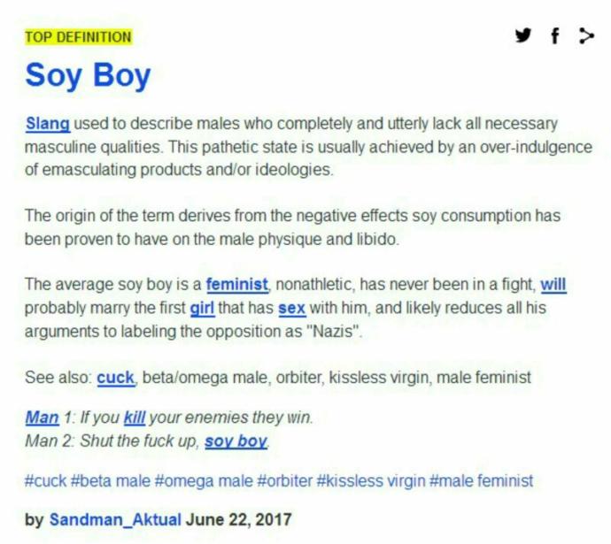 Opinions on Soy Boys/Male Feminists?