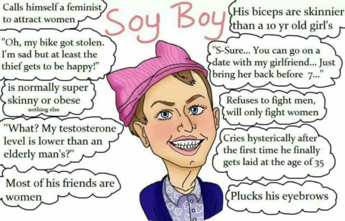 Opinions on Soy Boys/Male Feminists?
