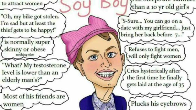 Opinions on Soy Boys/Male Feminists?