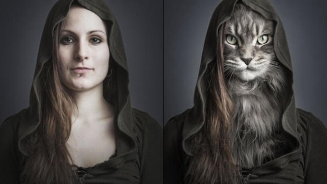 Why do people see girls as “cats”?