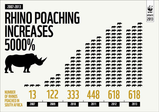 What would you do if you inherited 120 year old ivory snooker balls made from the now extinct white rhino?
