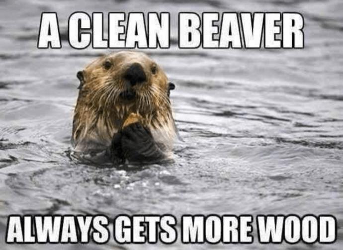 Beaver shots? Good? Bad? Gross? Offensive?