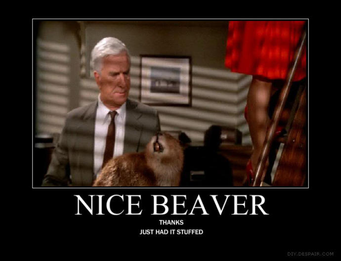 Beaver shots? Good? Bad? Gross? Offensive?