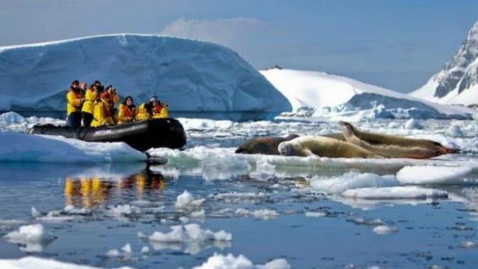 Have you ever gone for Zodiac Tours?