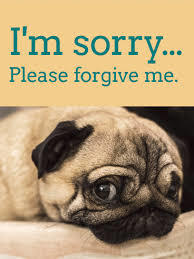 Are the words ''I'm sorry'' most of the times useless?