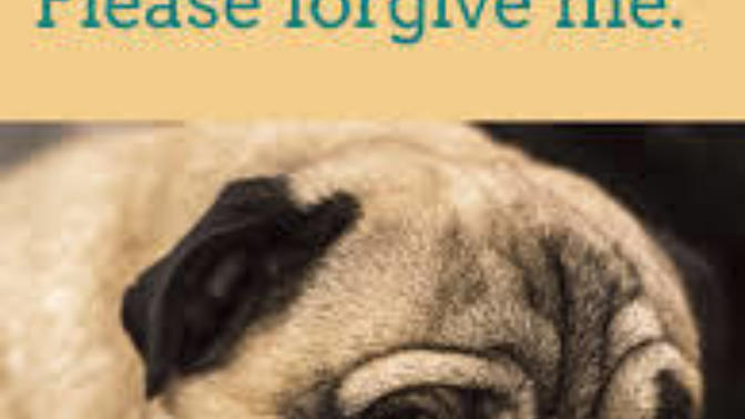 Are the words ''I'm sorry'' most of the times useless?