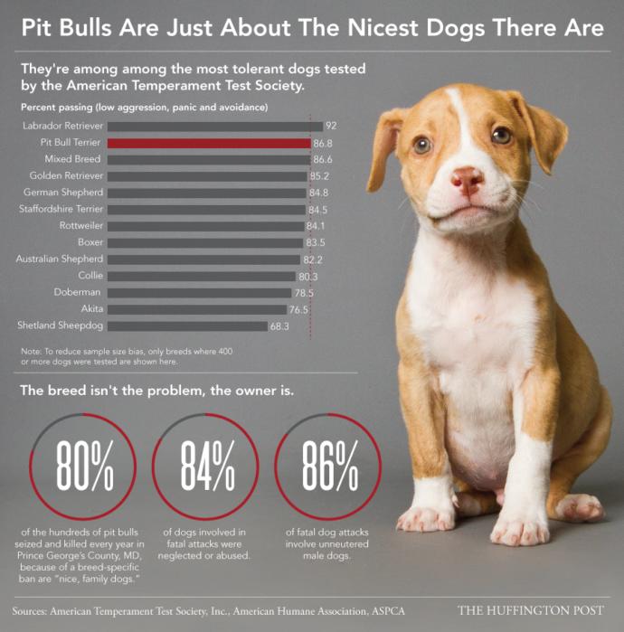 What do you think of pitbulls a. k. a North American toddler maulers?