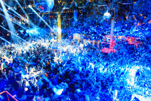Where would you party? Even if not listed, post pics/gifs, where have you partied?