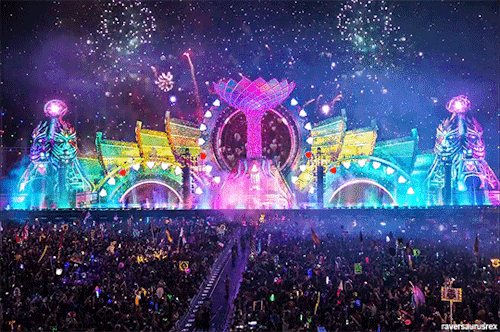 Where would you party? Even if not listed, post pics/gifs, where have you partied?
