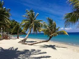 Would you rather live in a place that snows or a place that is sunny year round?