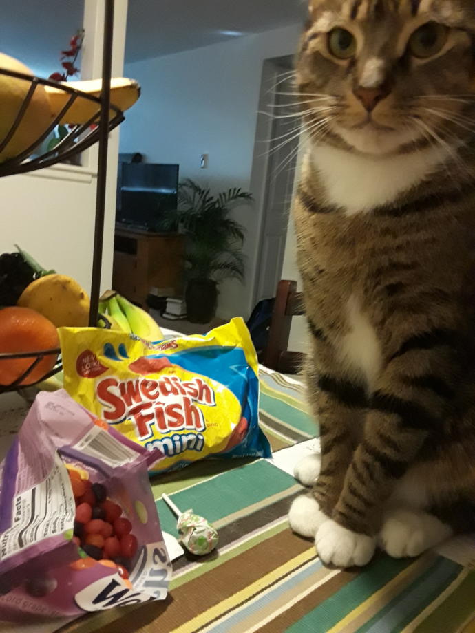 Do you have Easter candy?