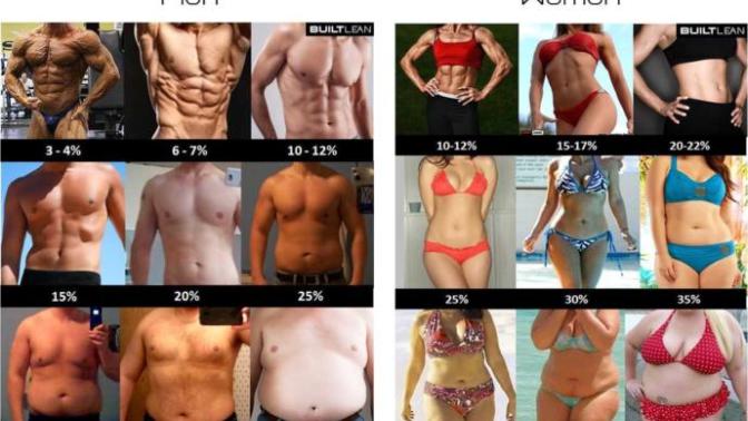 Which body fat percentage you think is more attractive?