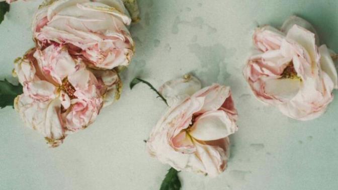 Is there beauty in death or dying?