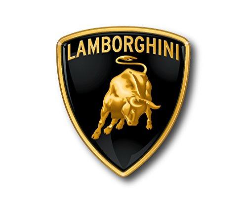 What is your Dream Car?