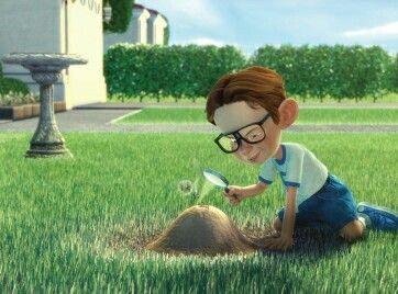 If you saw a kid burning ants with a magnifying glass would you stop him?