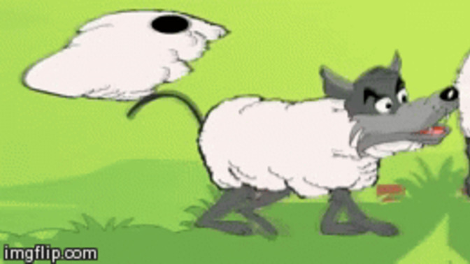 Are you a wolf in sheep's clothing or a sheep in wolves clothing?