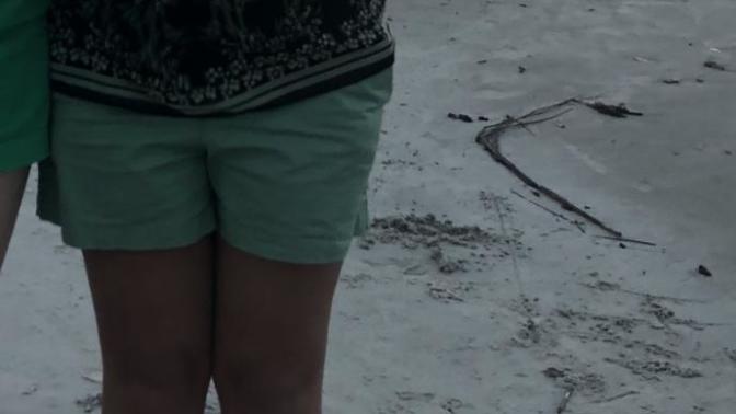 What’s my body type?