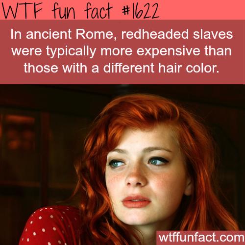 Are blue eyed redheads the most beautiful women in the world?