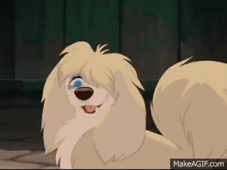 Rate this Full length Disney Animated Feature: Lady and the Tramp?