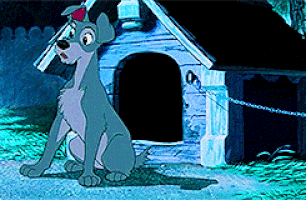 Rate this Full length Disney Animated Feature: Lady and the Tramp?