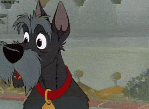 Rate this Full length Disney Animated Feature: Lady and the Tramp?