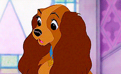 Rate this Full length Disney Animated Feature: Lady and the Tramp?